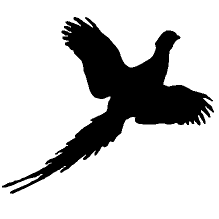 Flying Pheasant Clipart