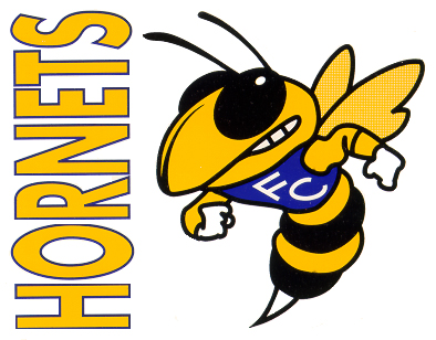 Hornet Clipart - 35 cliparts