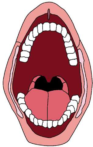 Big Mouth - ClipArt Best