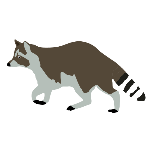 raccoon clip art #3 | 62 Raccoon Clipart | Clipart Fans