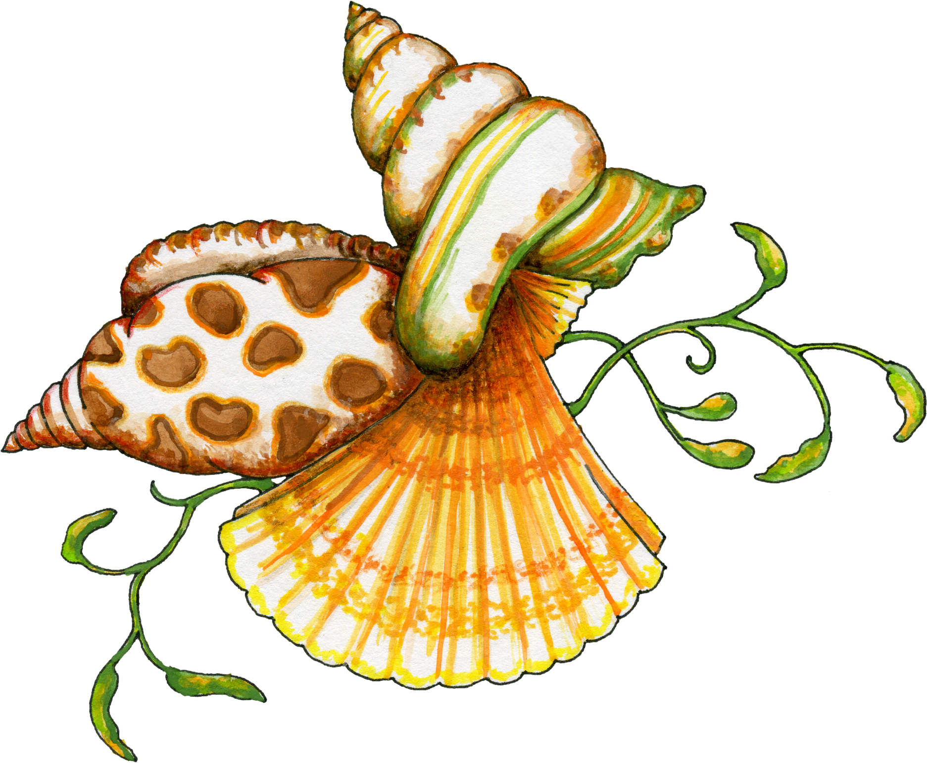 Seashell png #24619 - Free Icons and PNG Backgrounds