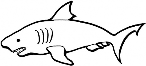 Shark Outline Drawing - ClipArt Best