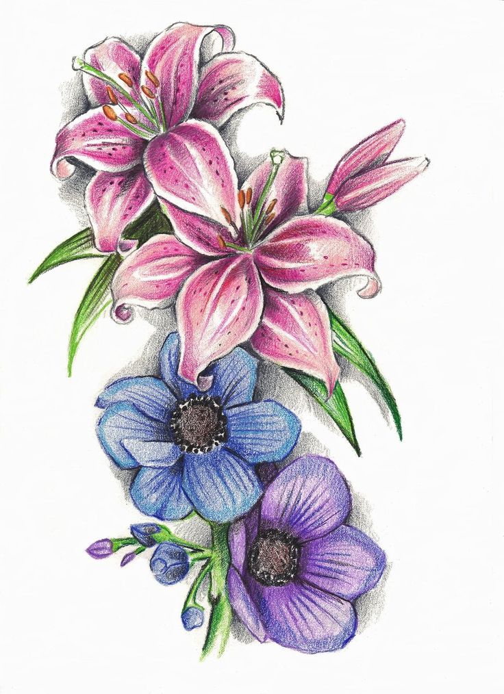 Lily Tattoo Design | Lilies Tattoo ...
