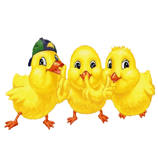 Yellow Easter Chicks 2 - Easter Images