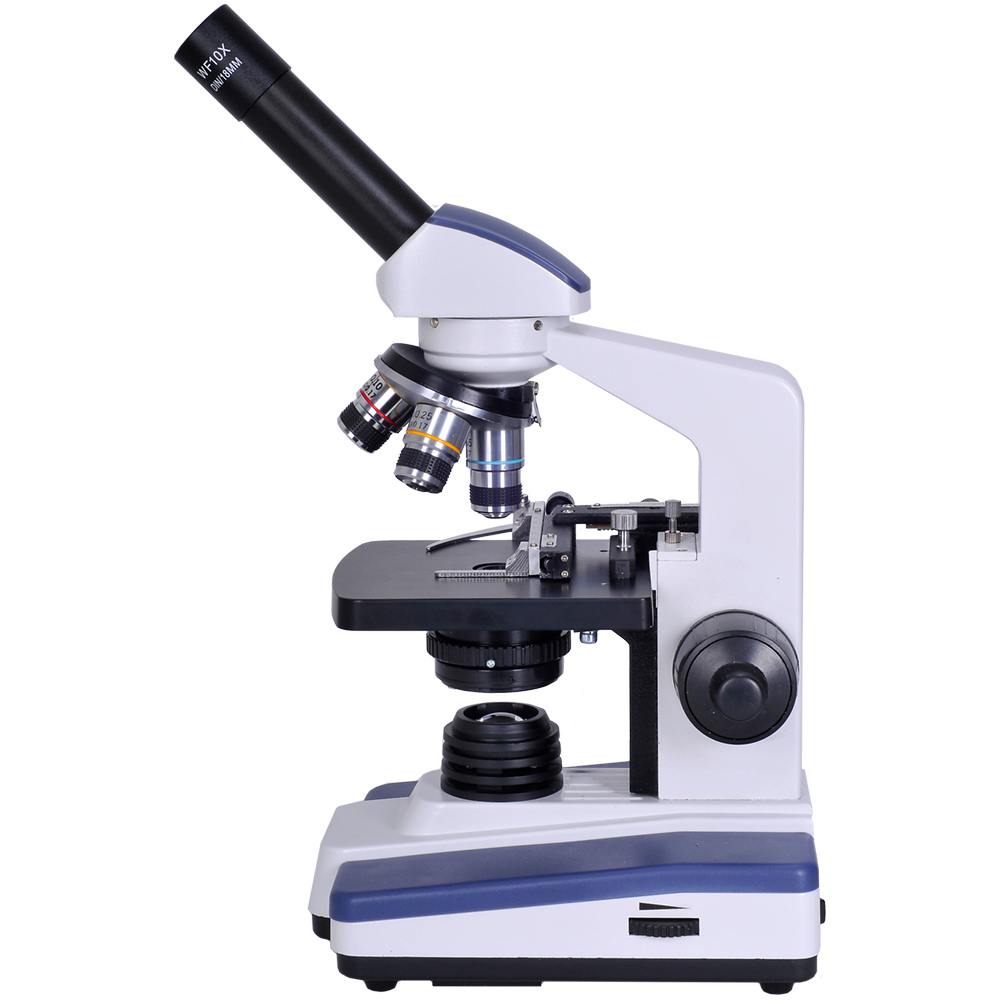 28+ Compound Microscope Clipart