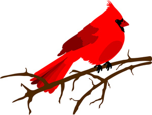 Cardinal Clipart Image - Beautiful Red Cardinal Sitting on a Bare ...