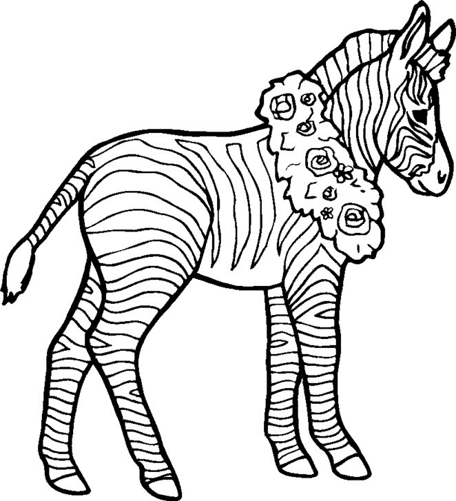 Zebra coloring pages lying down - ColoringStar