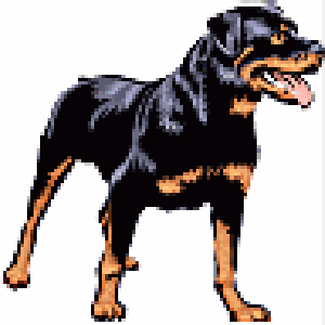 Rottweiler Clipart - ClipArt Best