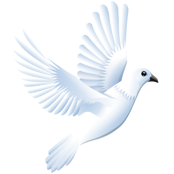 Dove Vector | Free Download Clip Art | Free Clip Art | on Clipart ...