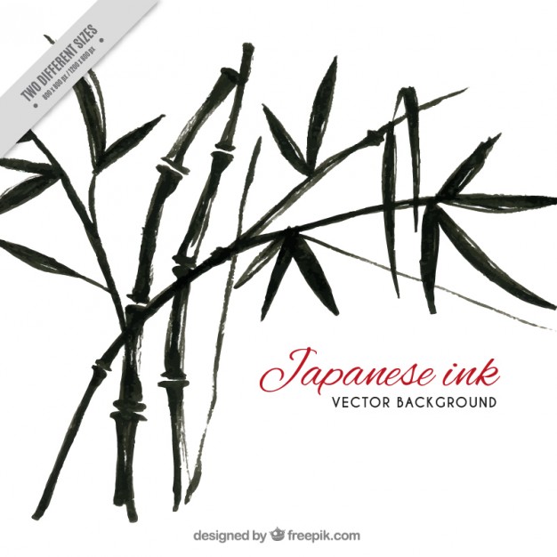 Bamboo Vectors, Photos and PSD files | Free Download