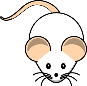 Rat clipart images free