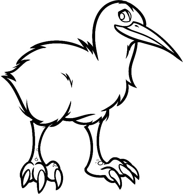 Proud Kiwi Bird Coloring Pages: Proud Kiwi Bird Coloring Pages ...