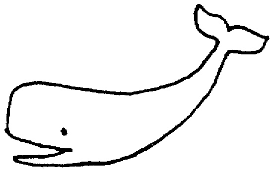 Whale Outline Clipart