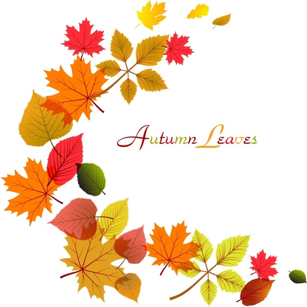 Beautiful autumn leaves frame background free vector download ...