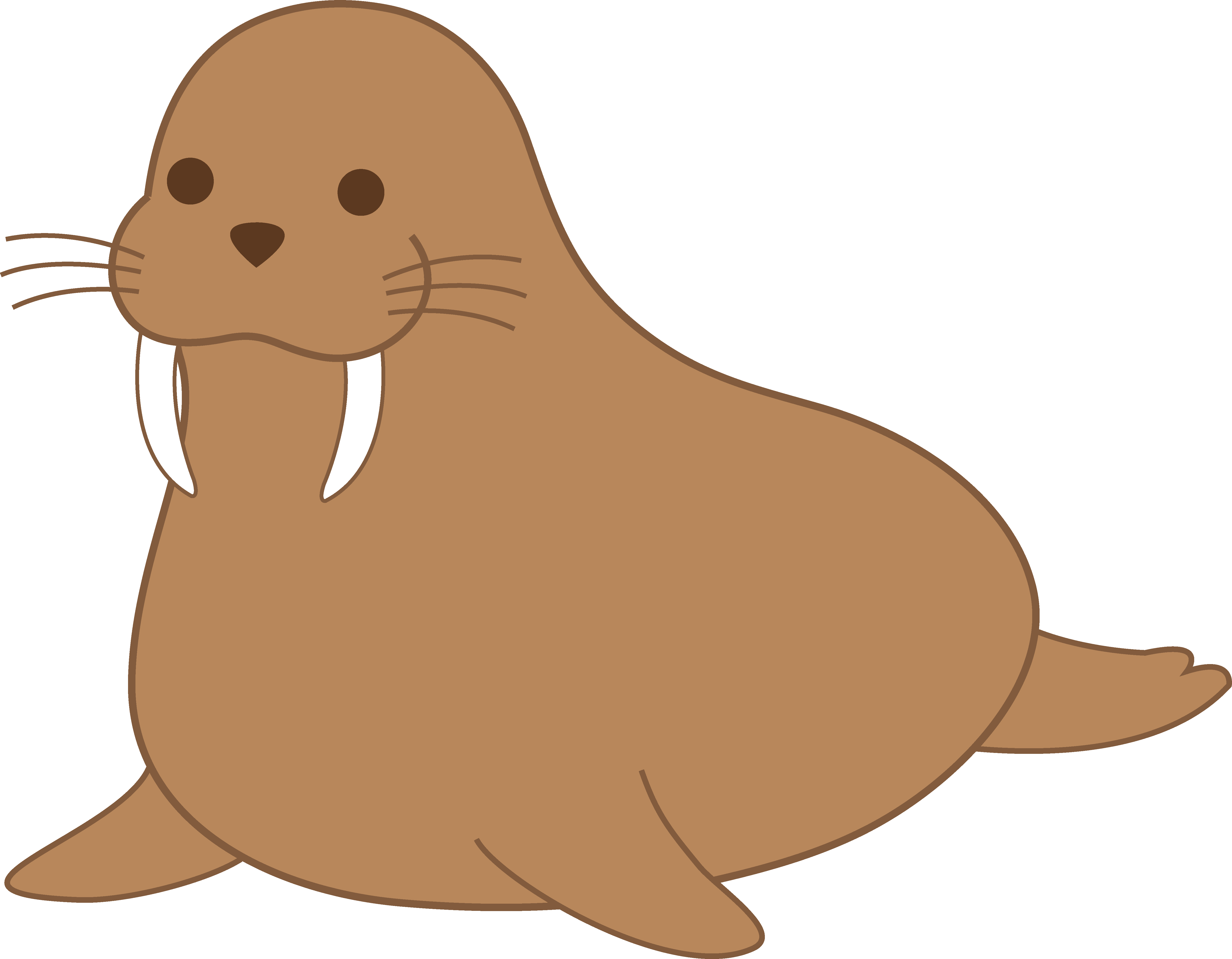 Animated walrus clipart - ClipartFox