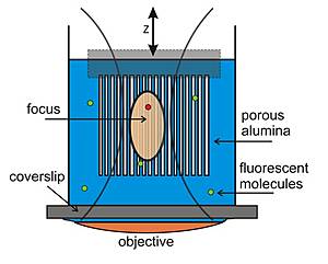 Compound Microscope Diagram - ClipArt Best