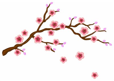 Cherry Blossom Transparent Background 86481 | UPSTORE