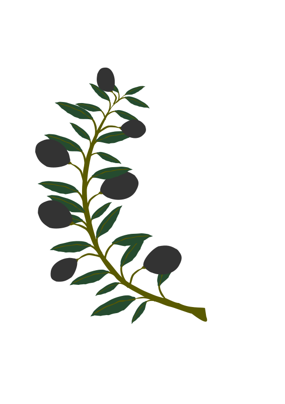Olive Branch Cliparts - Cliparts and Others Art Inspiration
