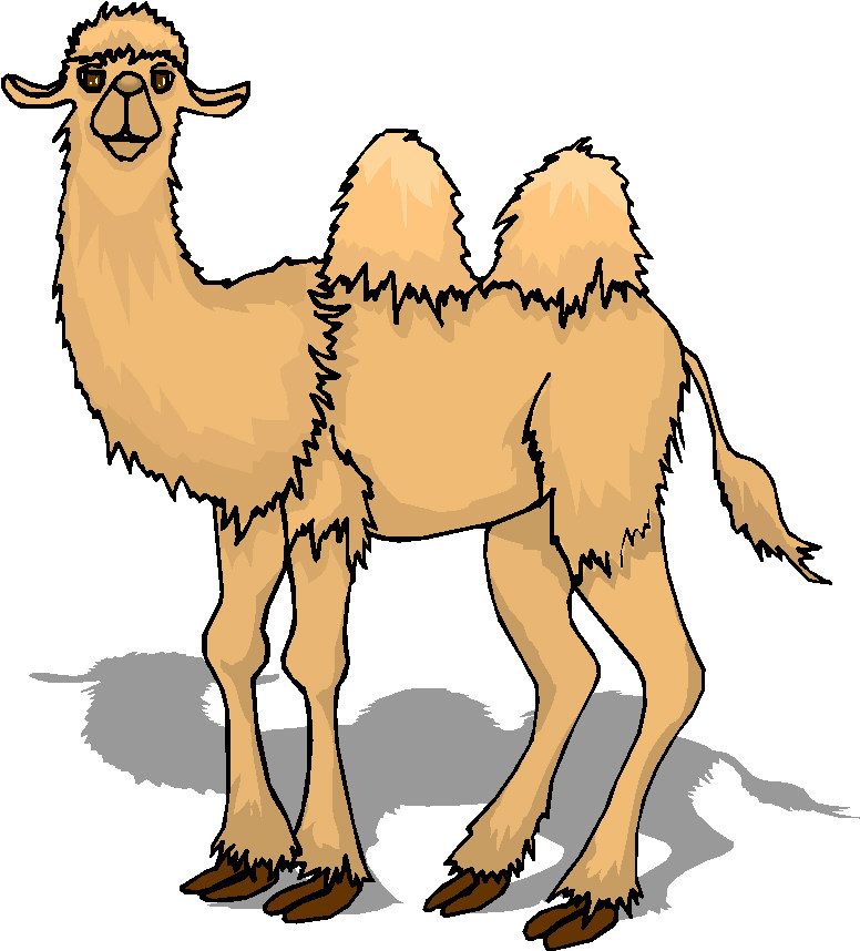 Camel Graphics and Animated Gifs