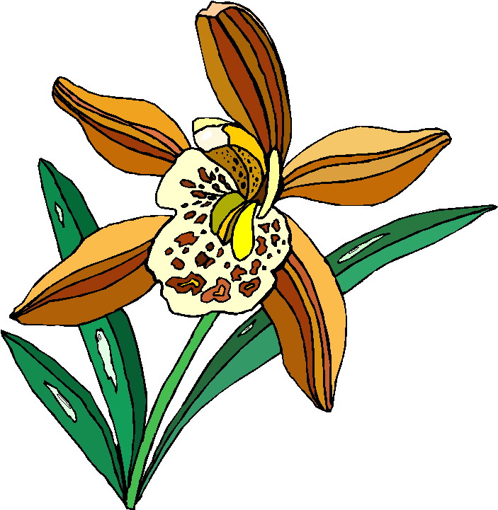 Clip Art - Clip art plants 693813