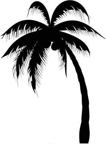 Palm Tree Design - ClipArt Best