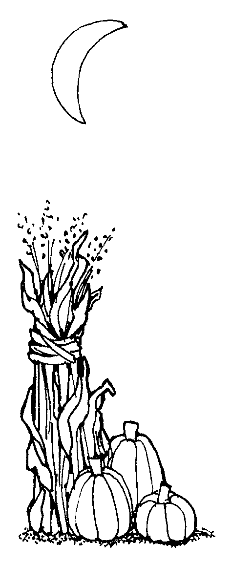 Corn Stalks Clipart