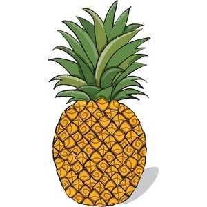 Pineapple Clipart Image - Whole Pineapple - FRUIT - Polyvore