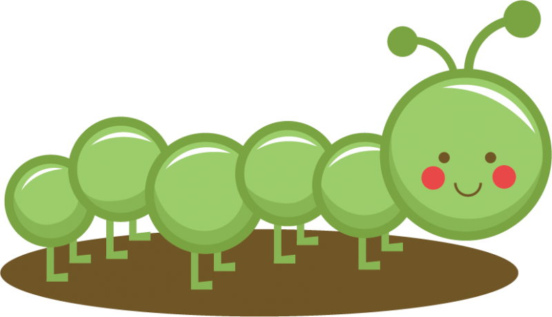 Baby Caterpillars Clipart