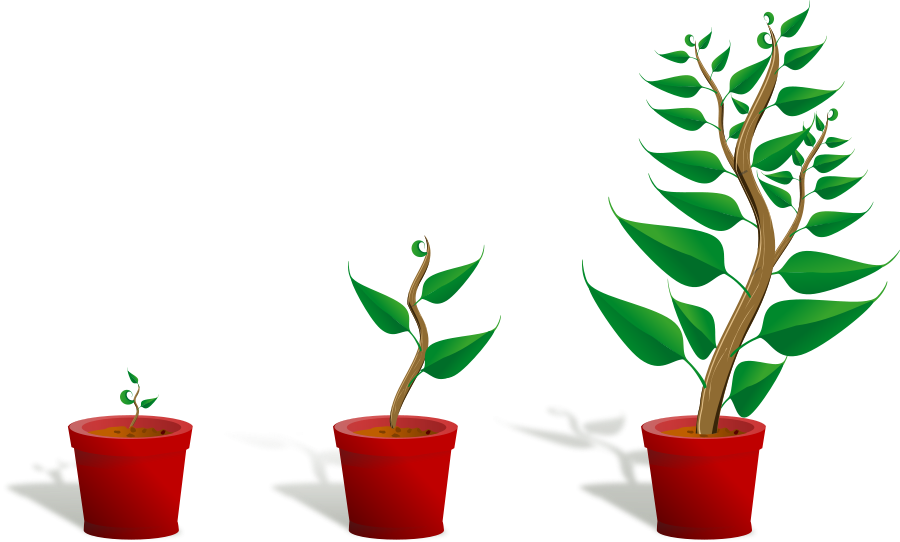 Plant Images Free | Free Download Clip Art | Free Clip Art | on ...