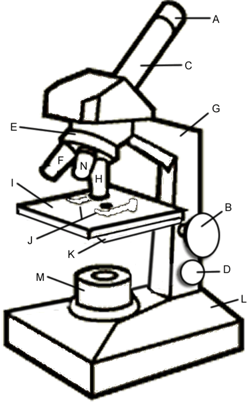 Microscope clipart with label