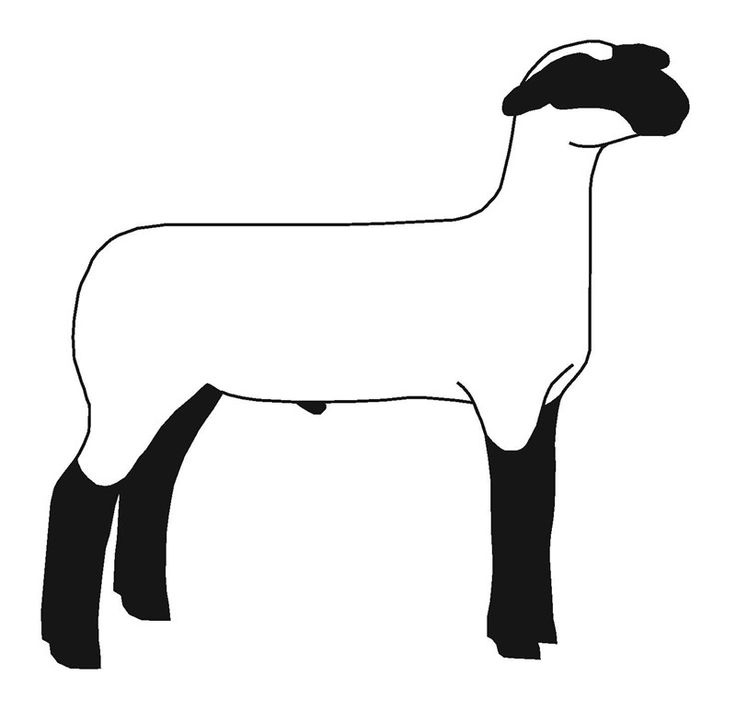 Sheep Clipart - 64 cliparts