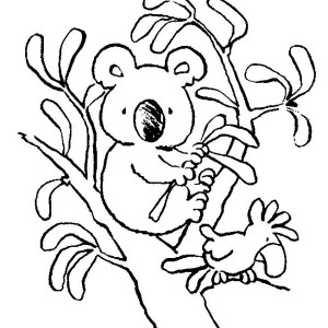 Koala Bear with Love Coloring Page | Color Luna