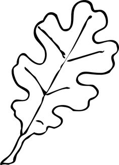 Leaf clipart black and white outline
