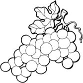 Coloring, Coloring pages and Fruit