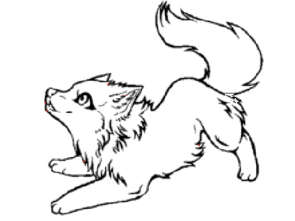 The Awesome Baby Wolf Coloring Pages pertaining to Encourage to ...