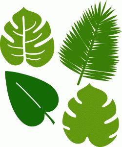 Jungle Leaves Drawing - ClipArt Best