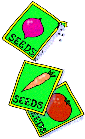 From Seed To Plant Clipart