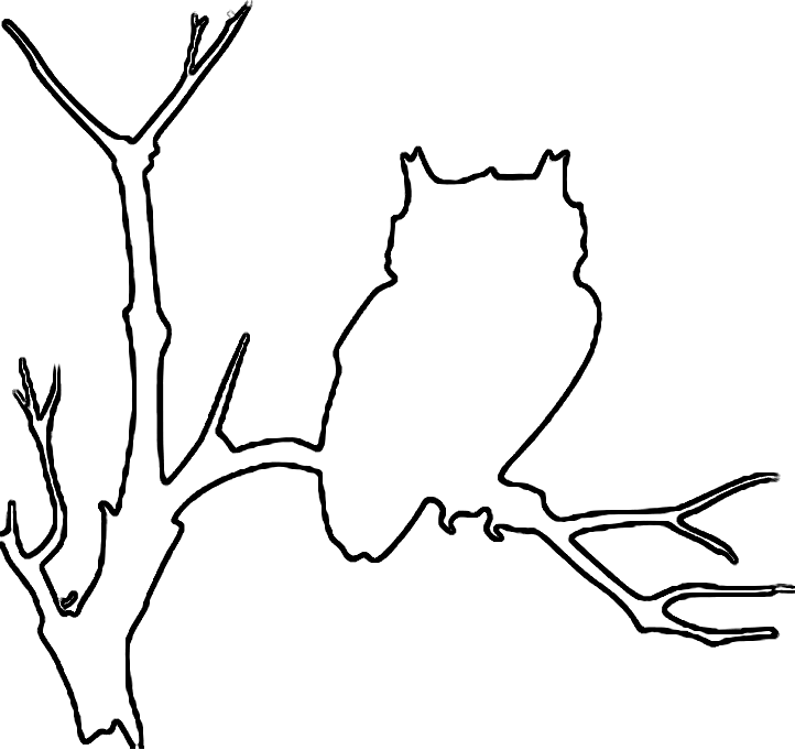 Owl Outline Drawing - AZ Coloring Pages