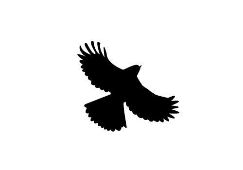 Free flying bird silhouette vector sv stock blog silhouette clip ...