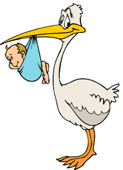 What Is Stork - ClipArt Best