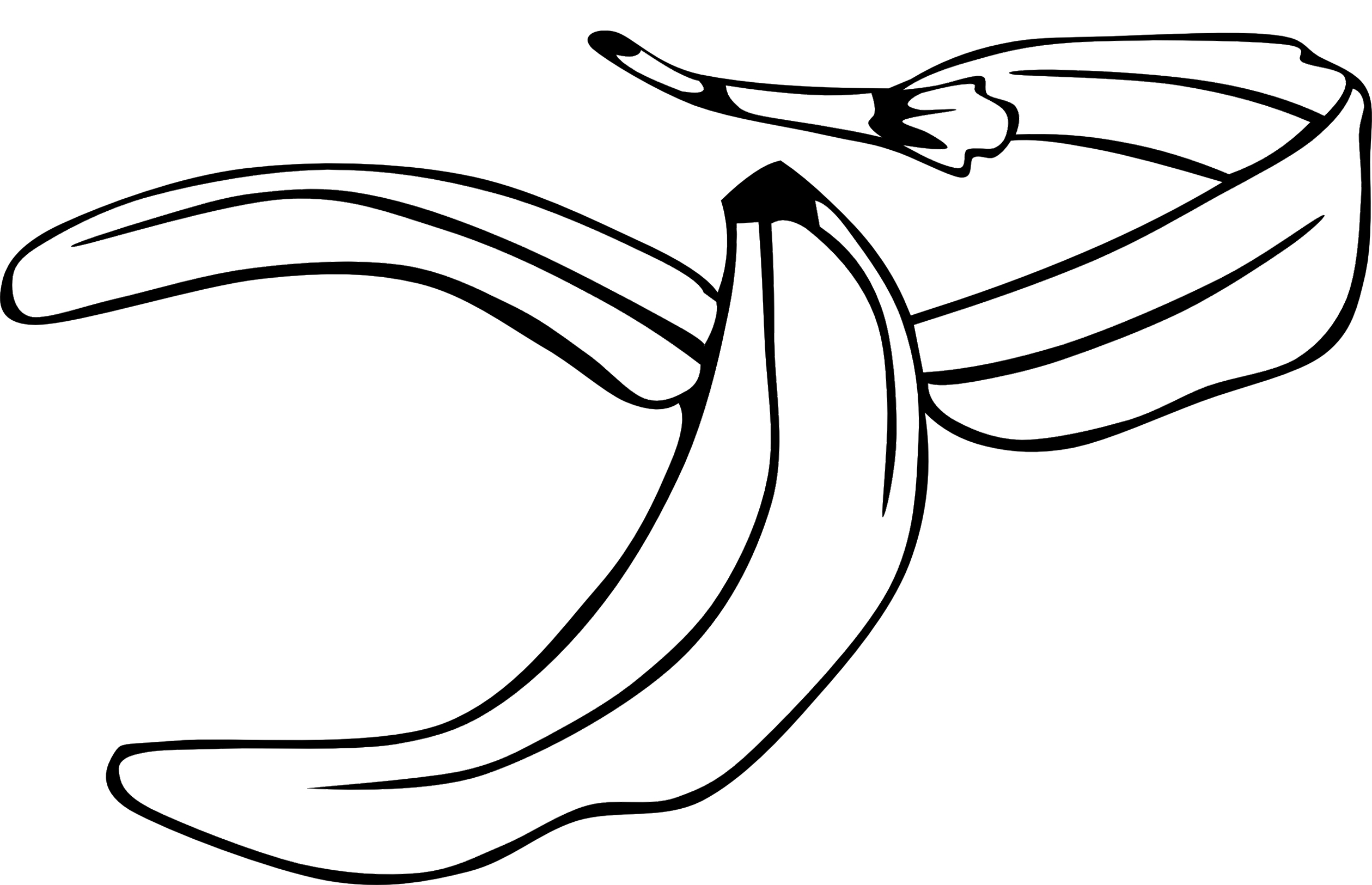 Drawing Of Banana Tree - ClipArt Best