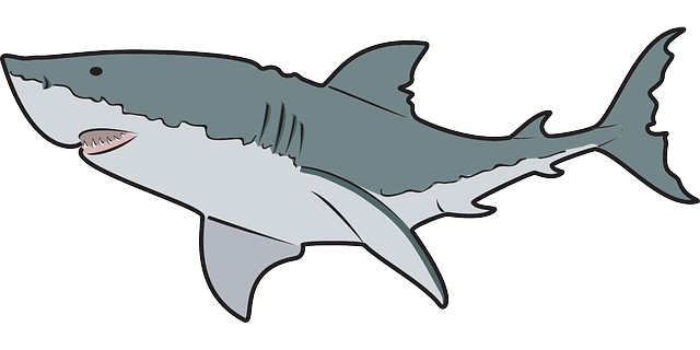 School of sharks clipart