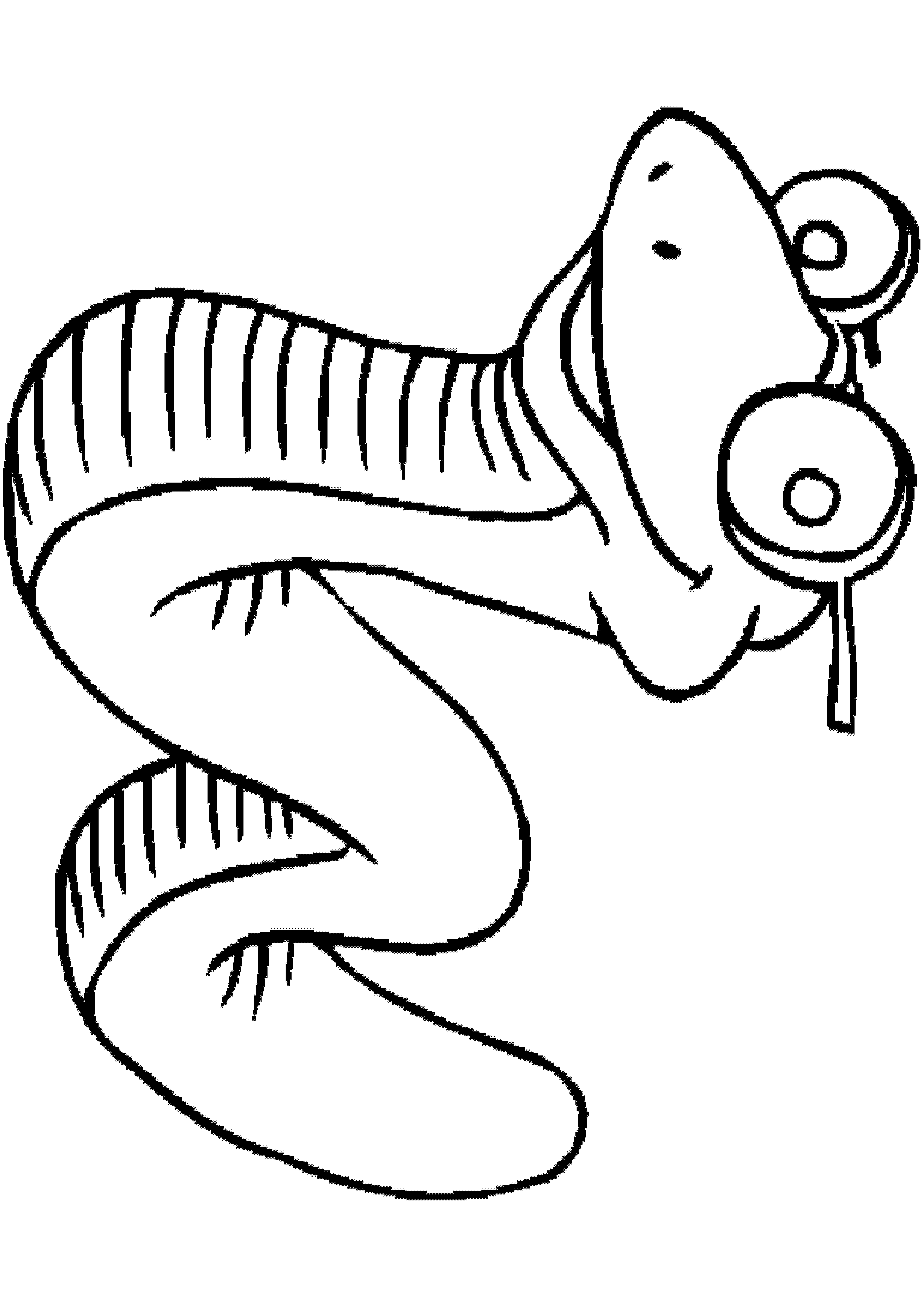 Snake Animal Coloring Pages | Print Colouring Pages