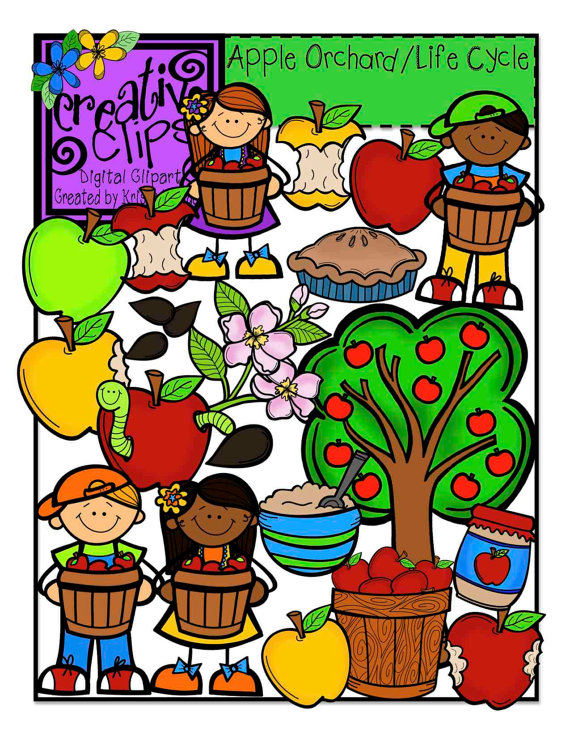 Apple Orchard and Life Cycle Bundle by CreativeClipsClipart