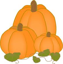 Garden Guru: Growing your own pumpkins for Halloween | Media City ...