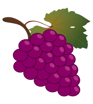 Free to Use & Public Domain Grapes Clip Art