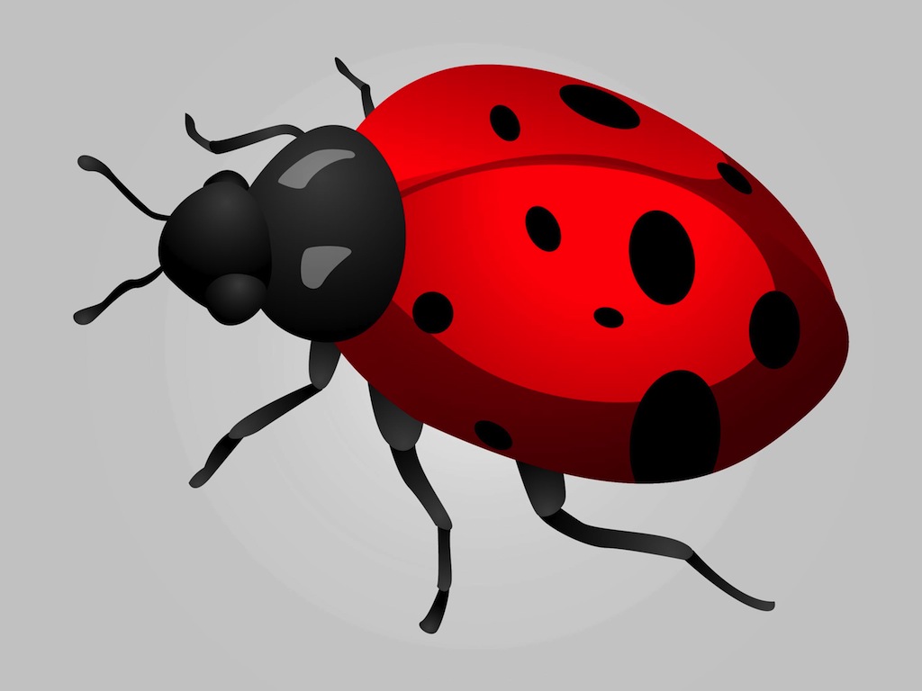 Cartoon Lady Bird - ClipArt Best