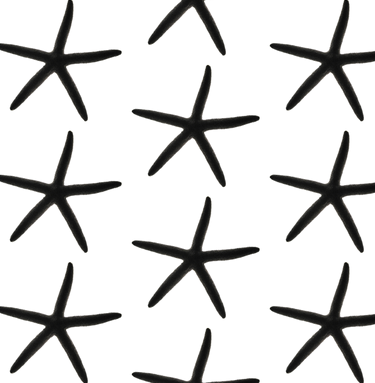 Starfish Black And White - ClipArt Best