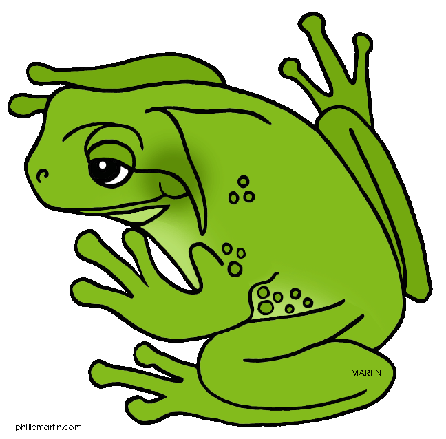 Green Tree Frog Clipart