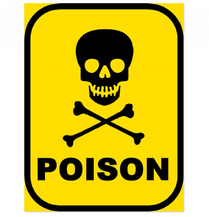 Awiensu: Two boys poison granny | Accra FM